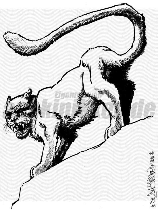 Bild29